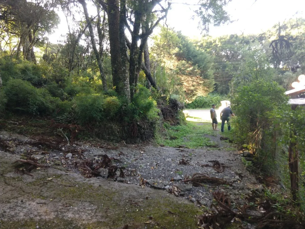 Imagem Terreno para Venda em São Francisco de Paula / RS