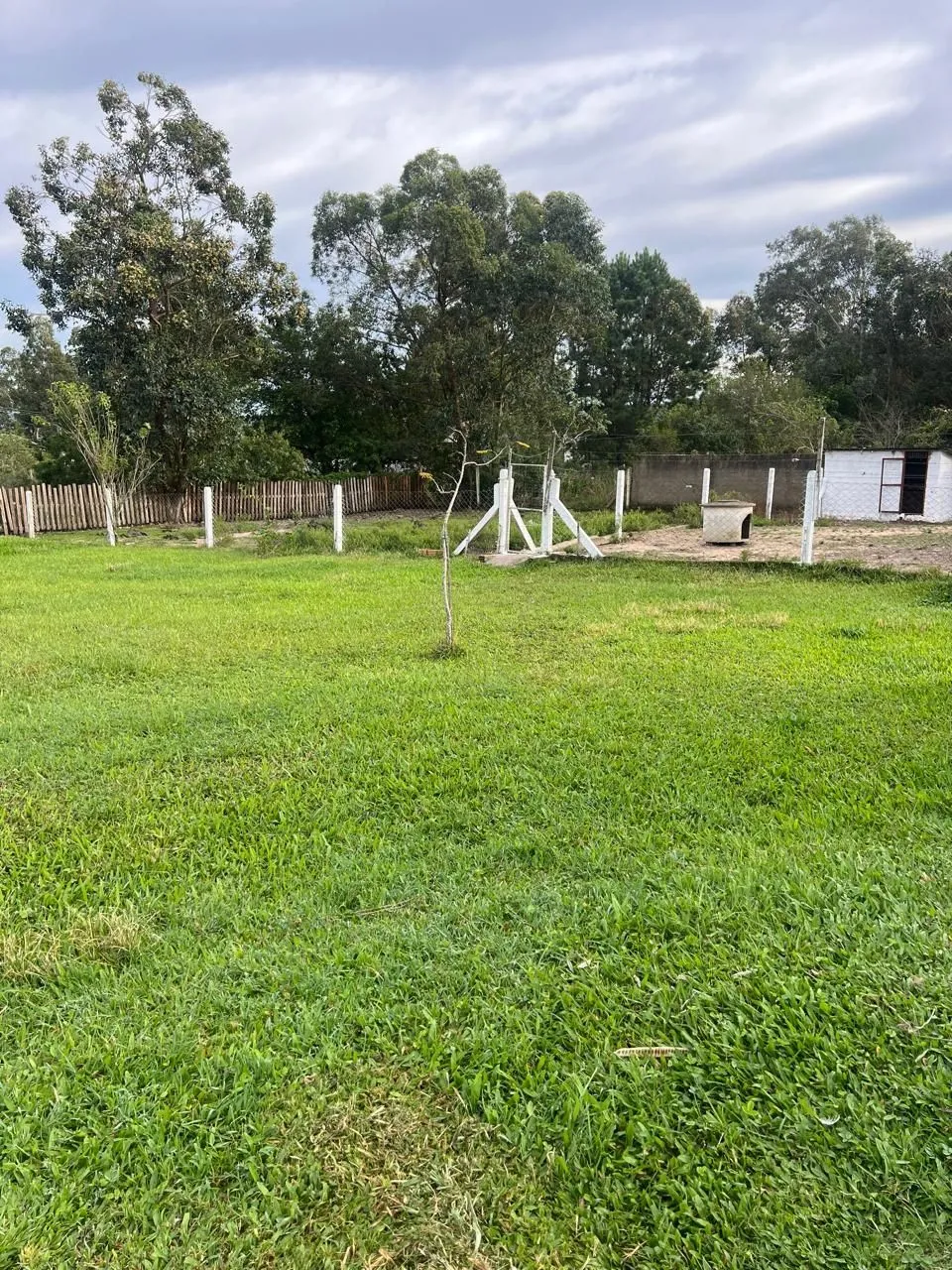 Imagem Sítio em Parque Florestal Itapuã