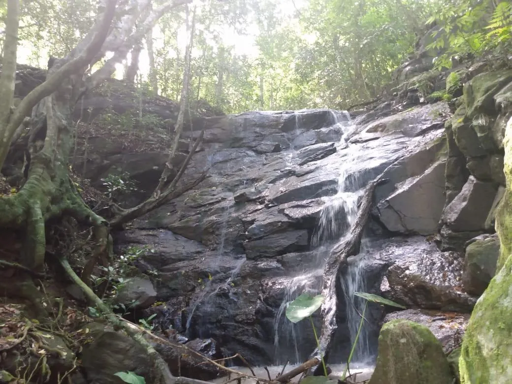 Imagem Chácara para venda, bairro Voluntário Baixo em Igrejinha/RS.