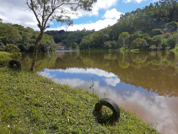 Imagem Sitio com 6 alqueires Tapiraí