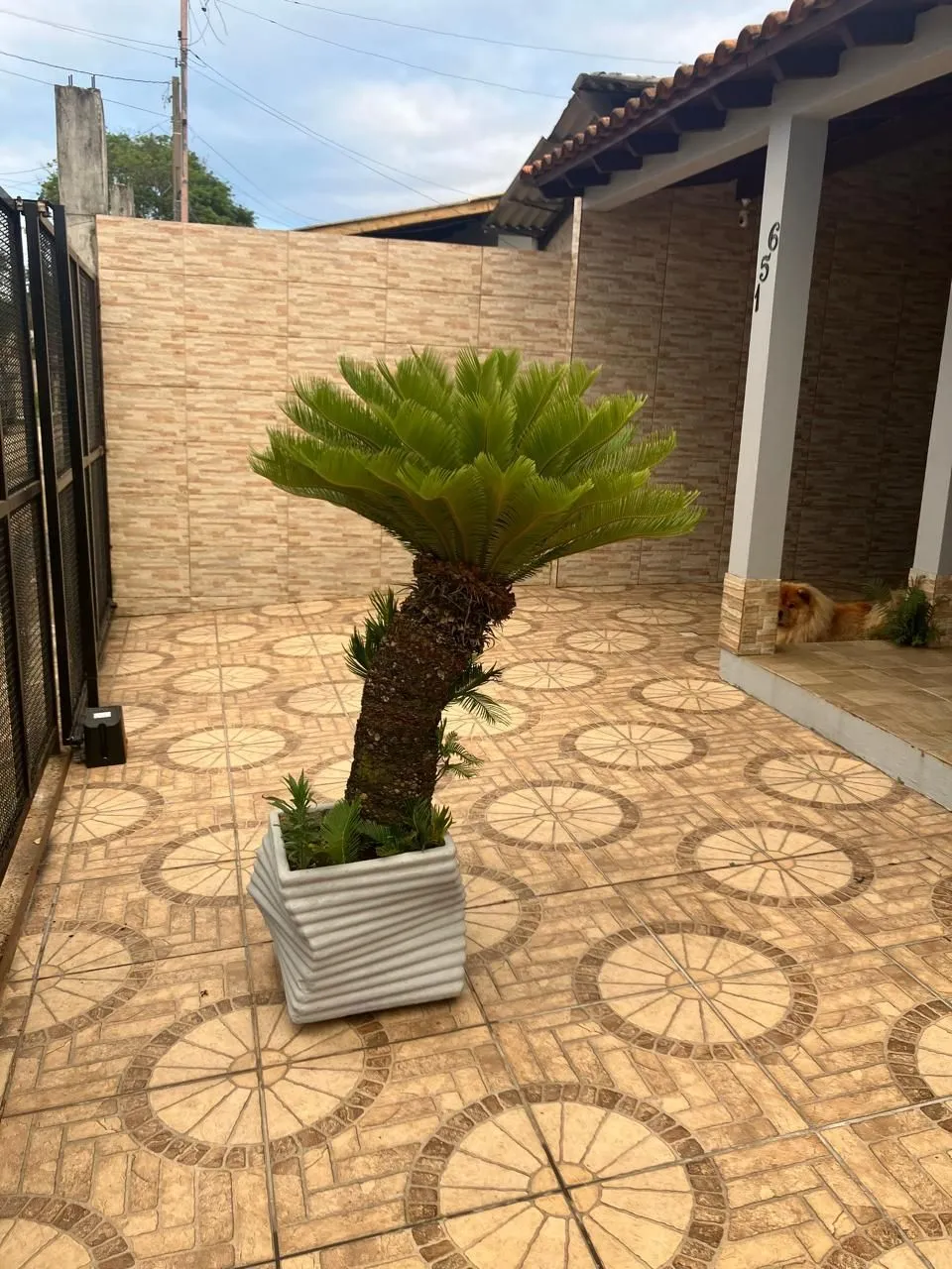 Imagem Casa em Rincão da Madalena