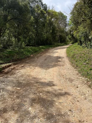 Imagem Área Rural em Colombo - 44 mil metros - R$750 mil