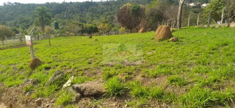 Imagem TERRENO JARDIM CANANÉIA