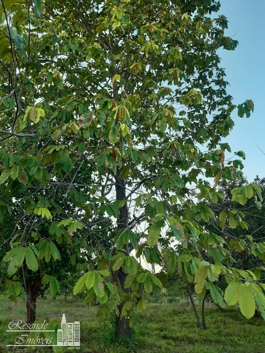 Imagem TERRENO A VENDA NO CENTRO