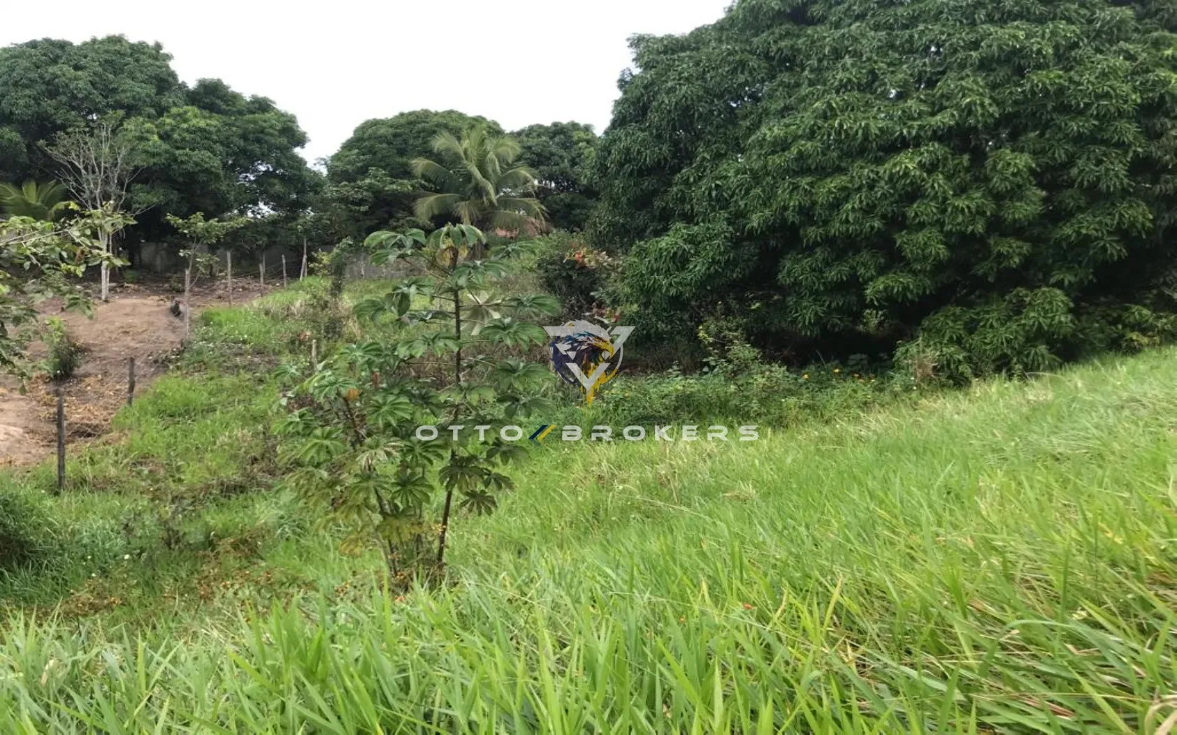 Imagem AREA RESIDENCIAL em SANTA CRUZ CABRÁLIA - BA, TÂNIA