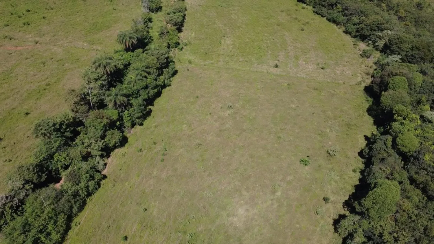Imagem TERRENO À VENDA EM ITAGUARA / mg 30 HECTARES DE TERRA
