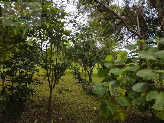 Imagem TERRENO CANANÉIA