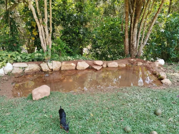 Imagem Sítio 36 mil m² Piracaia Asfalto e Escritura Estuda Proposta!!