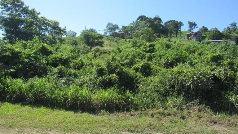 Imagem Terreno para Venda em Concórdia, Colibri