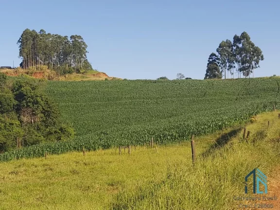 Imagem Sítio com 121.000 mil m² a venda, com Infra estrutura, no IRETEMA /Campo Mourão PR