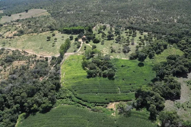 Imagem Chácara à venda em Cocalzinho de Goiás/GO