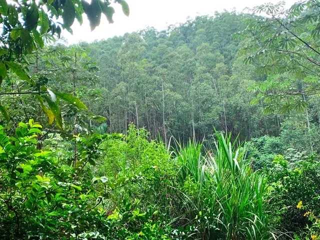 Imagem Chácara à venda 994000M², Barreiro, Aparecida - SP