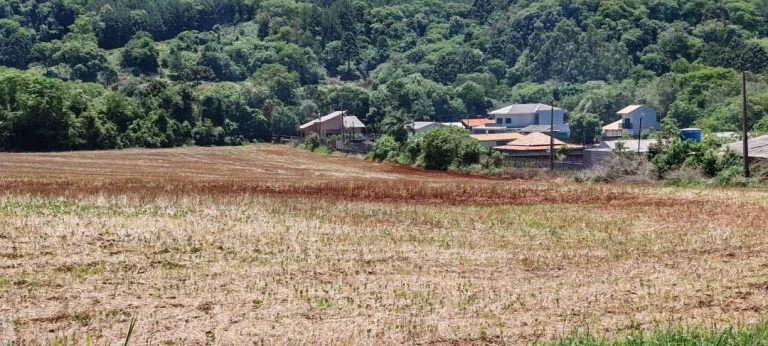 Imagem Chácara à venda em Cascavel - São Salvador - Lavoura e Rio