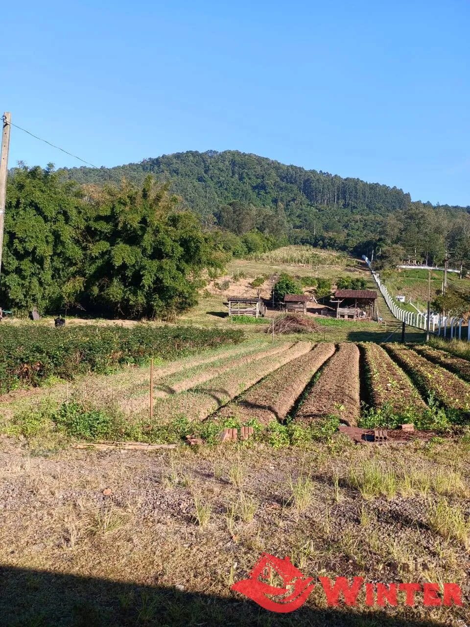 Imagem Área de Terra 21.600 m², Bom Fim, Feliz, RS.