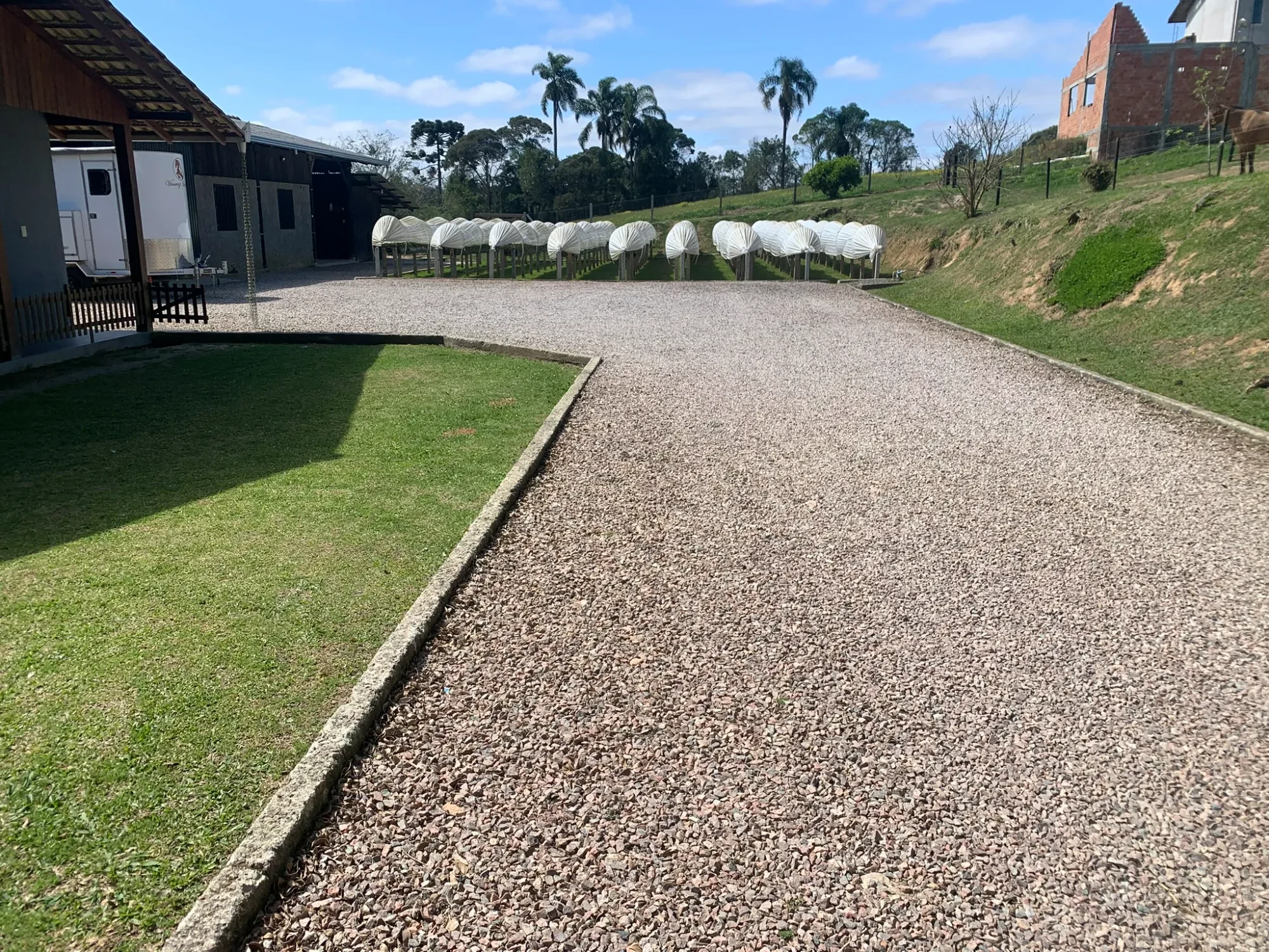 Imagem Chácara com 3 Quartos à Venda, 5000 m² em Colonia Marcelino - São José dos Pinhais