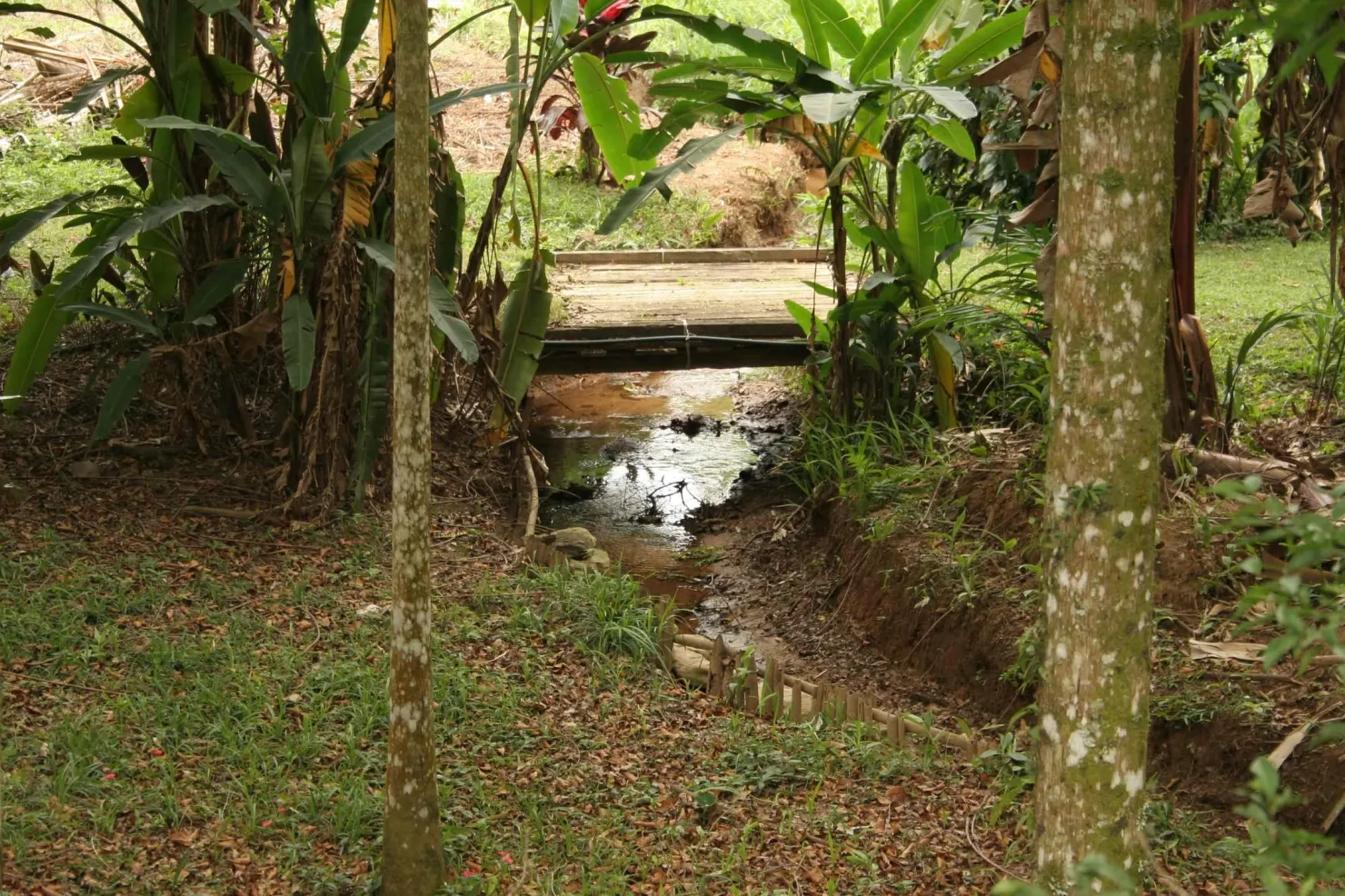 Imagem Sítio à venda 3 Quartos, 49000M², Ribeirão Grande, Pindamonhangaba - SP
