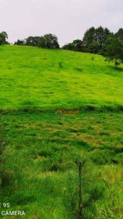 Foto do imóvel Terreno à venda, 19980 m² por R$ 2.000.000,00 - São Bento - Arujá/SP