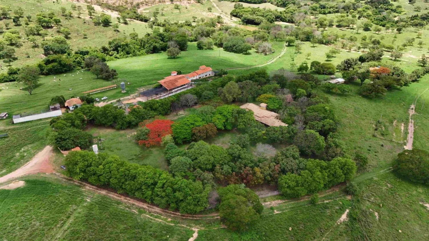Imagem FAZENDA À VENDA - MORRO DA GARÇA (MG) 165 hectares de área total,