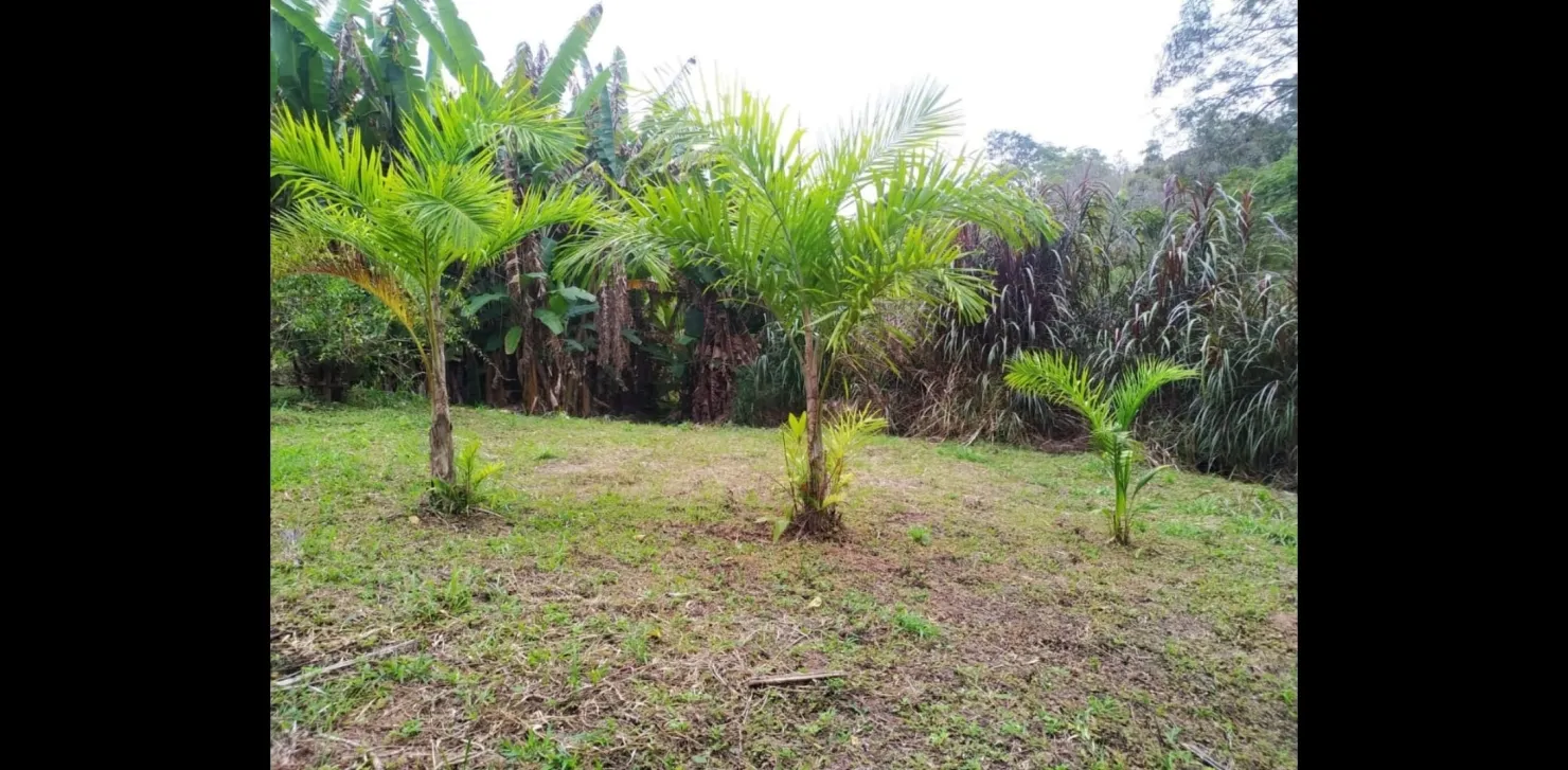 Imagem Chácara à venda 3 Quartos, 1 Suite, 488000M², Zona Rural, Monteiro Lobato - SP