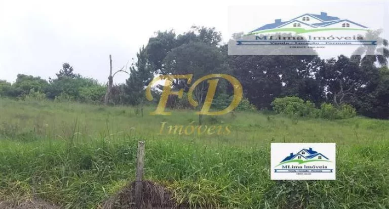 Imagem Área Industrial ou Comercial em Terra Preta / Mairiporã
