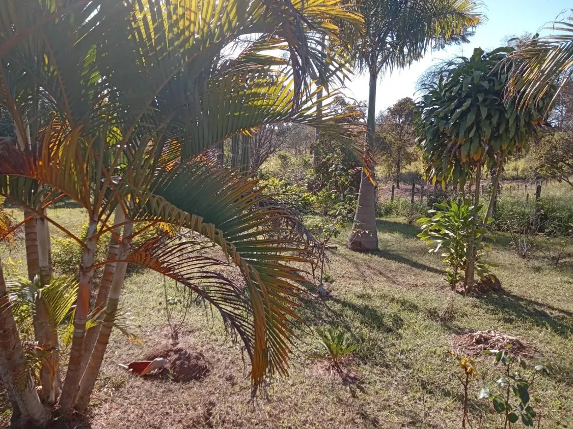 Imagem Vendo um excelente sítio na cidade de Piracema/Mg com 5 hectares de terra