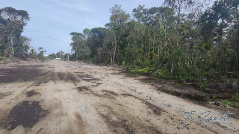 Imagem Terreno Lote Praia Grande Matinhos com Registro de Imóveis e IPTU