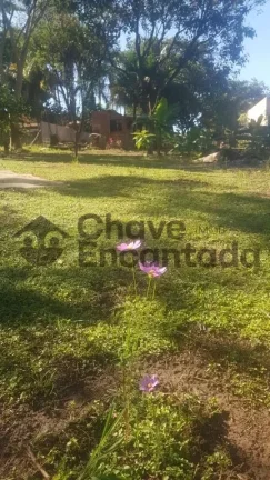 Imagem Casas / Chácara na cidade de Buritama