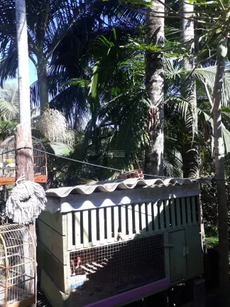 Imagem Casa a VENDA com Chácara de 849m², no Centro de SJBatista, a VENDA, Casa com chácara no centro de São João Batista. Ótima chácara no centro de SJBati