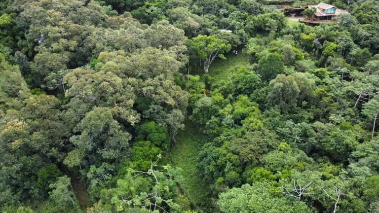 Imagem Vista para o Mar: Terreno à Venda na Praia da Ferrugem, Garopaba-SC - 1.500m²!