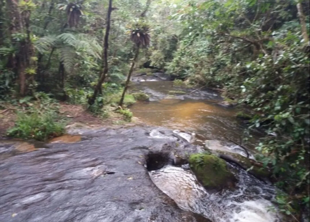 Imagem Chácara à venda 2 Quartos, 1 Suite, 170000M², Zona Rural, Paraibuna - SP
