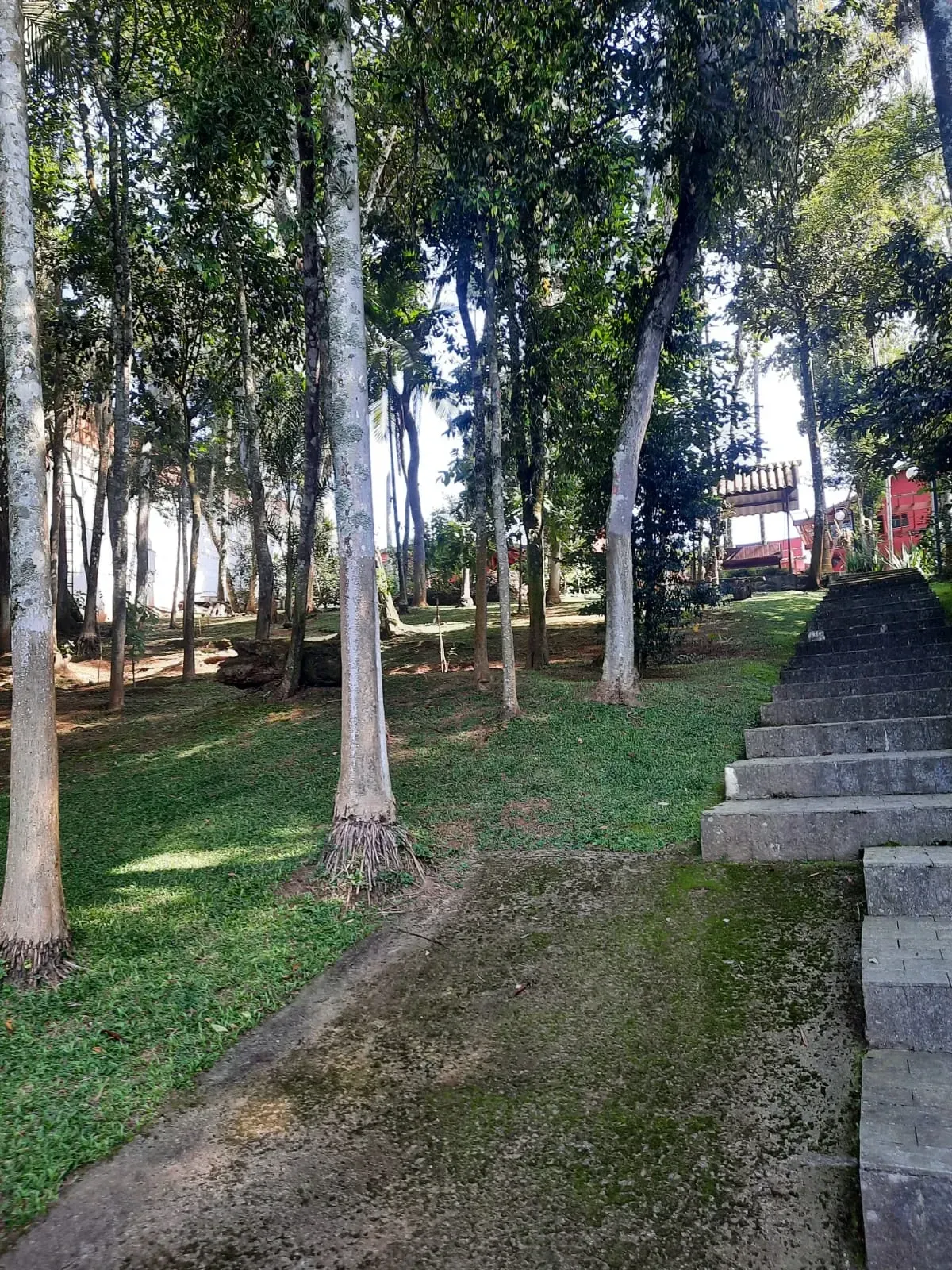 Imagem Casa de Condomínio com 4 Quartos à Venda, 420 m² em Represa - Ribeirão Pires