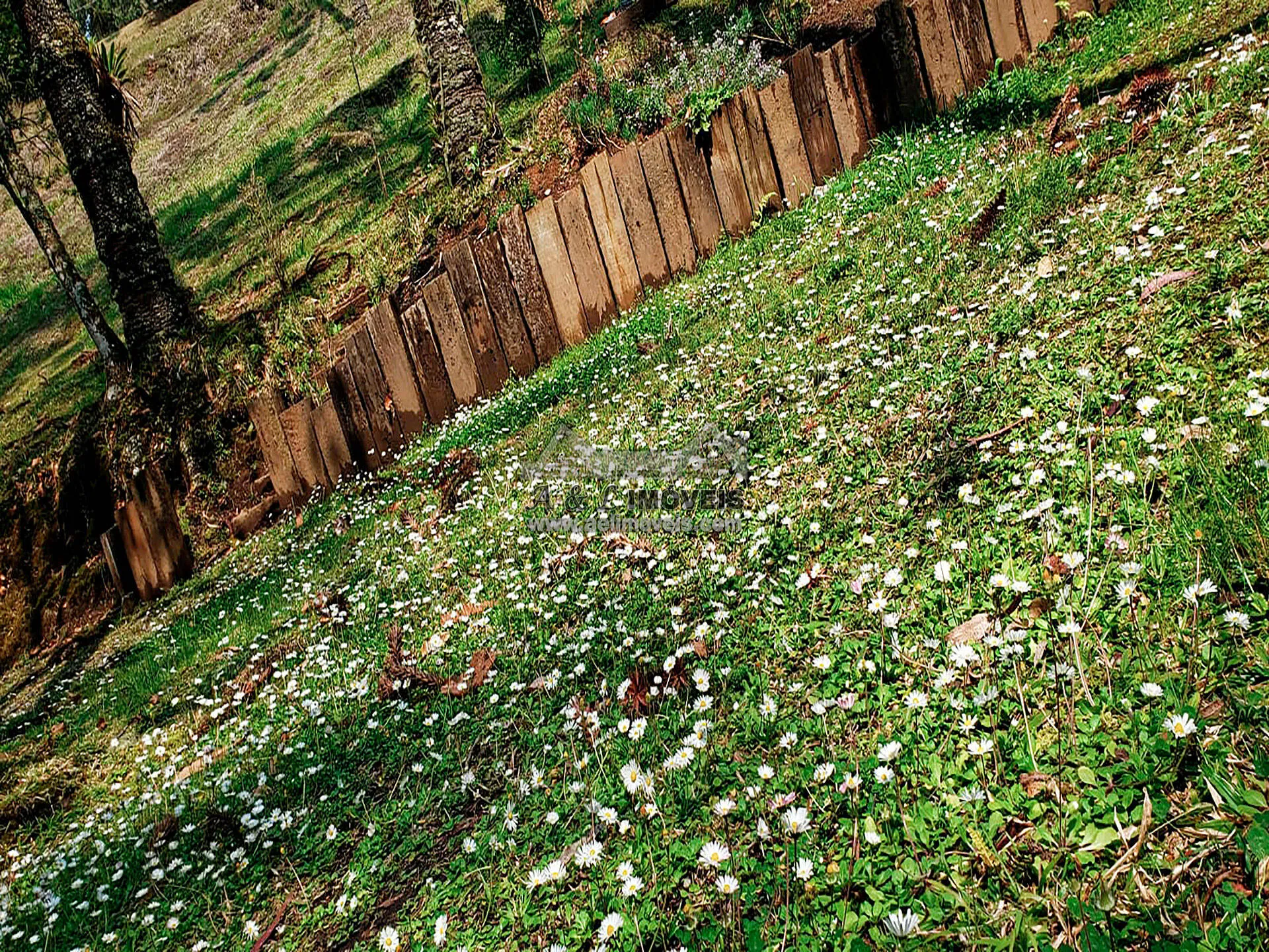 Imagem Terreno à venda em Campos do Jordão - Em loteamento de alto padrão