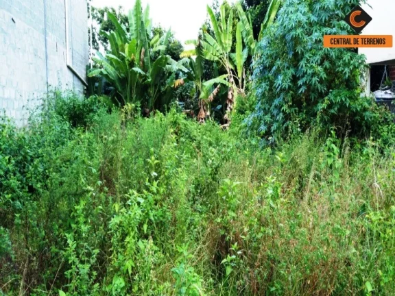 Imagem TERRENO PRÓXIMO AO BOSQUE DA PAZ