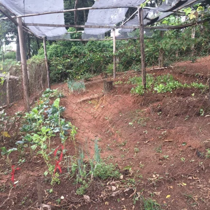 Imagem Chácara Piracaia 4.300 m² à 200 metros do asfalto!!