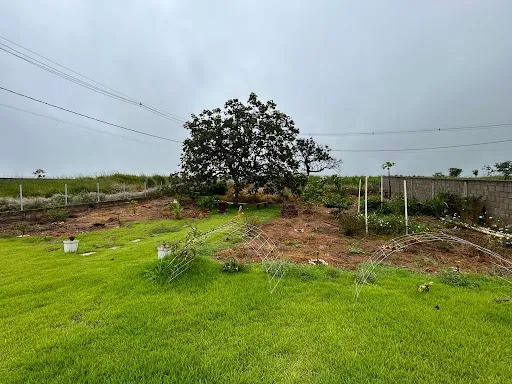 Imagem Casa, 149 m² - venda por R$ 700.000,00 ou aluguel por R$ 3.101,66/mês - Centro - Lagoa Formosa/MG