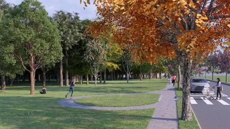 Imagem Vinhas Parque Évora