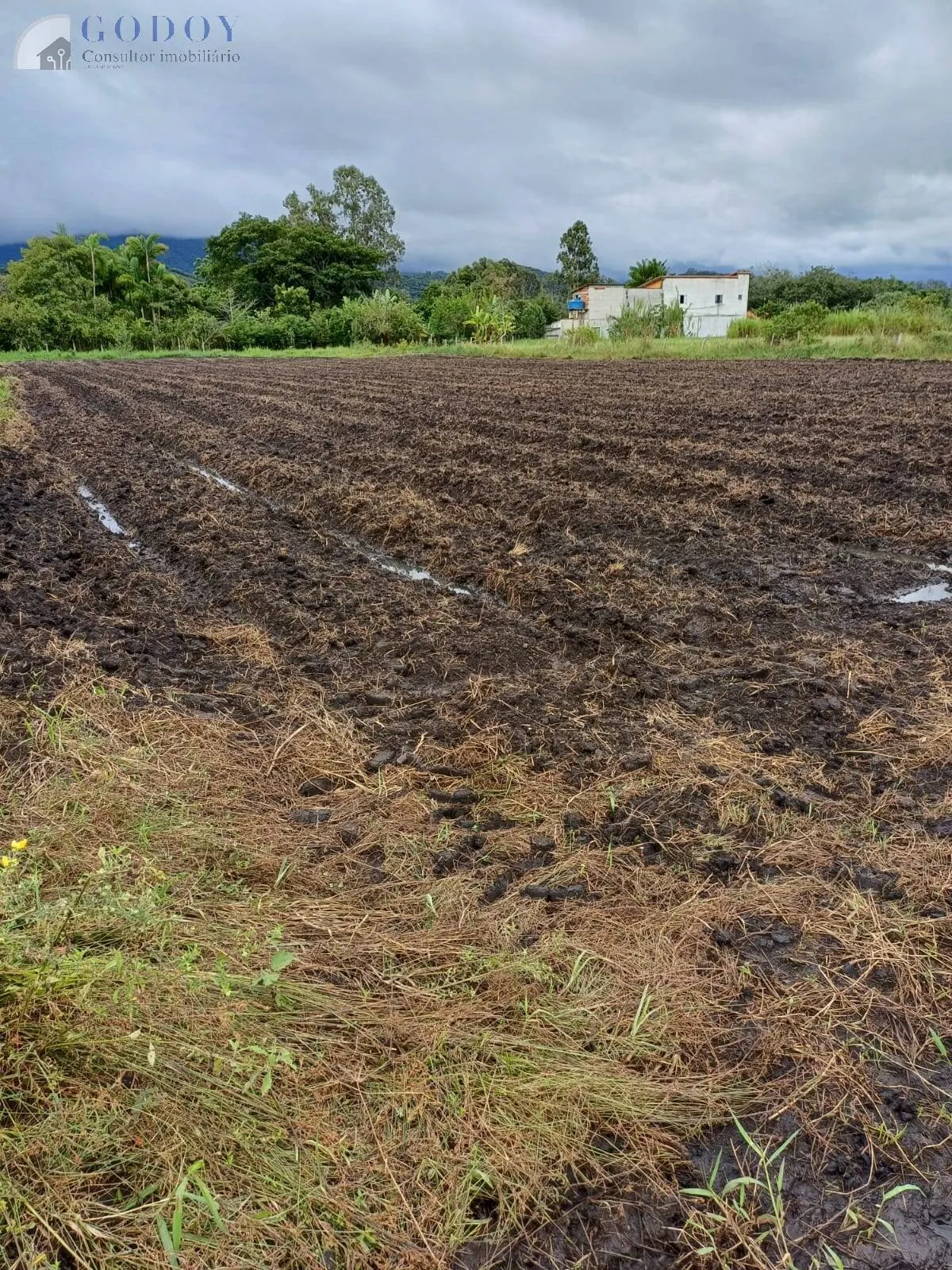 Imagem ÁREA RURAL
