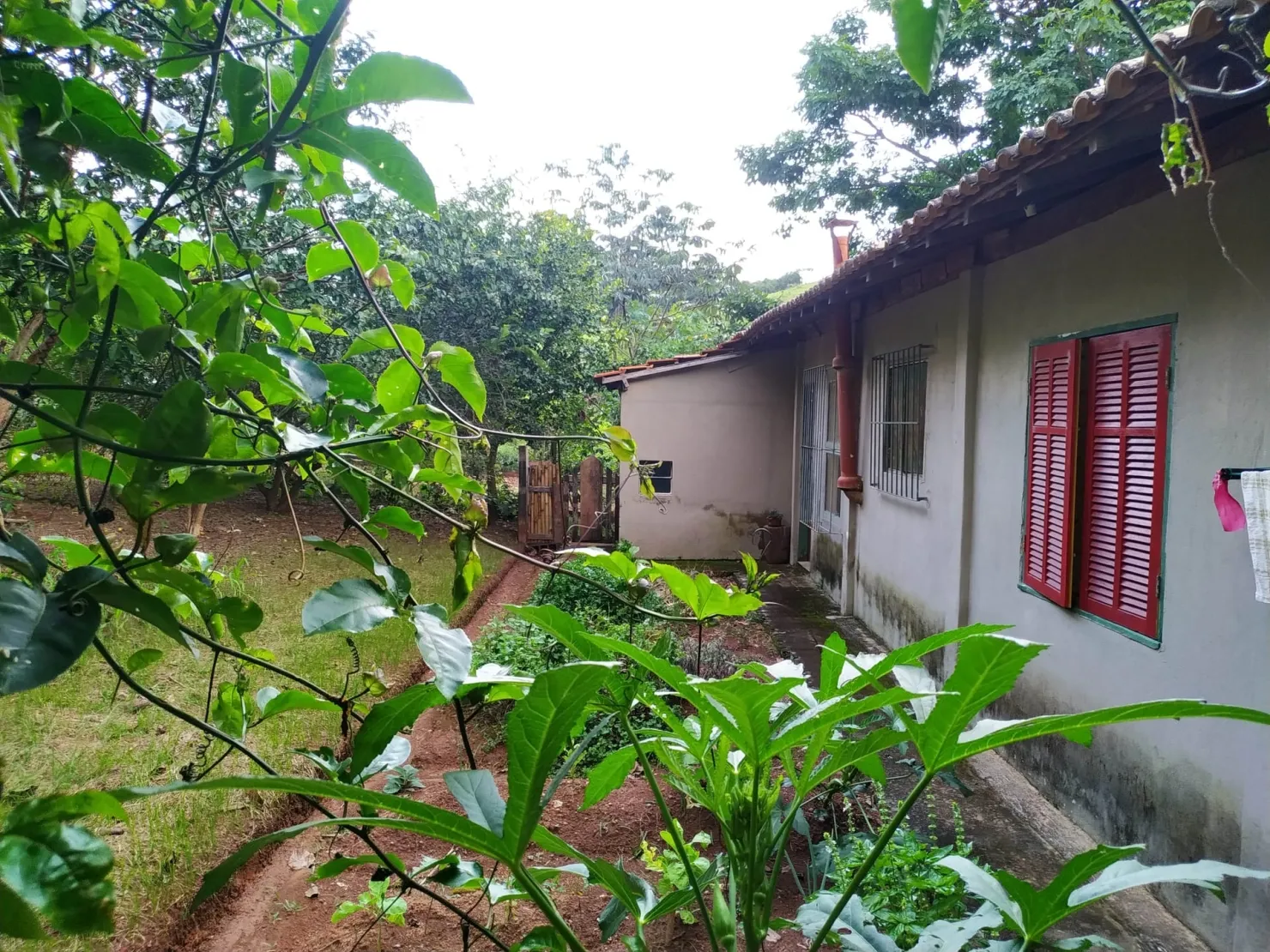 Imagem Chácara à venda 4 Quartos, 1 Suite, 90000M², Zona Rural, Silveiras - SP