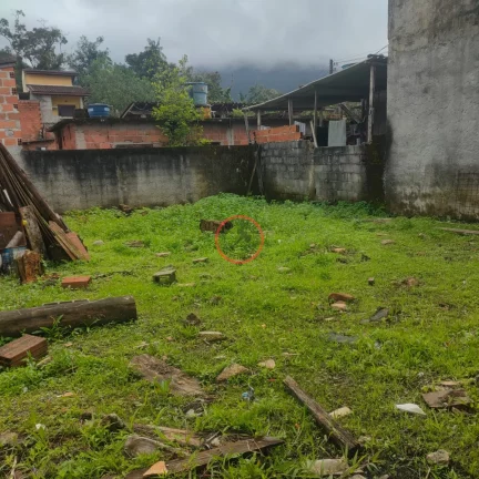 Imagem TERRENO A VENDA NO SERTÃO DO PIAVÚ COM UMA LOJA CONSTRUÍDA JÁ NA LAJE