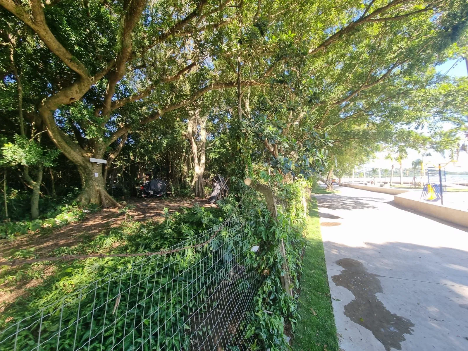 Imagem Terreno na Beira de Ipanema com 972m²