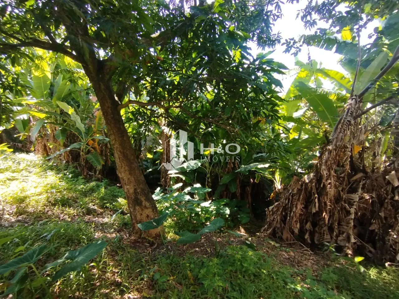 Imagem Excelente oportunidade em Ermelino Matarazzo!
