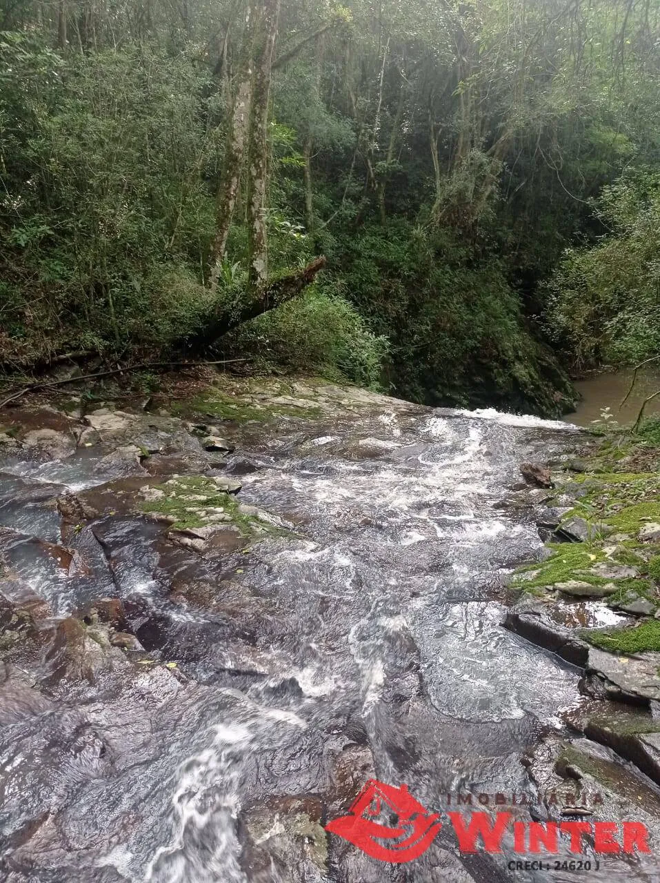 Imagem Área de terras com 56.494,00m², Presidente Lucena, RS.