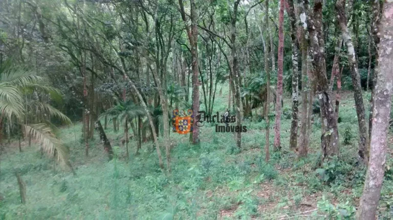 Imagem Terreno à venda, 9200 m² por R$ 550.000,00 - Centro - Extrema/MG