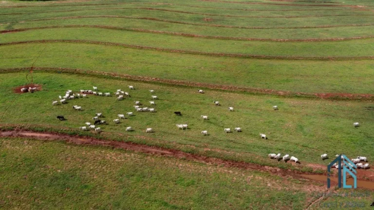 Imagem Fazenda, excelente área rural 87.5 alqueires em Ivaté, próximo a Umuarama no Parana Pr