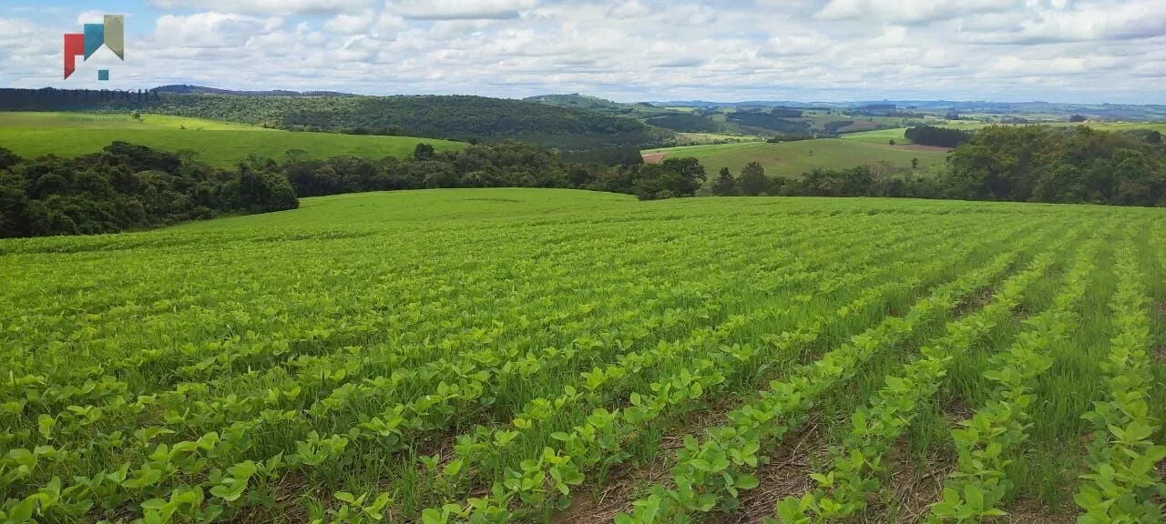 Imagem Sítio a venda em Itararé SP