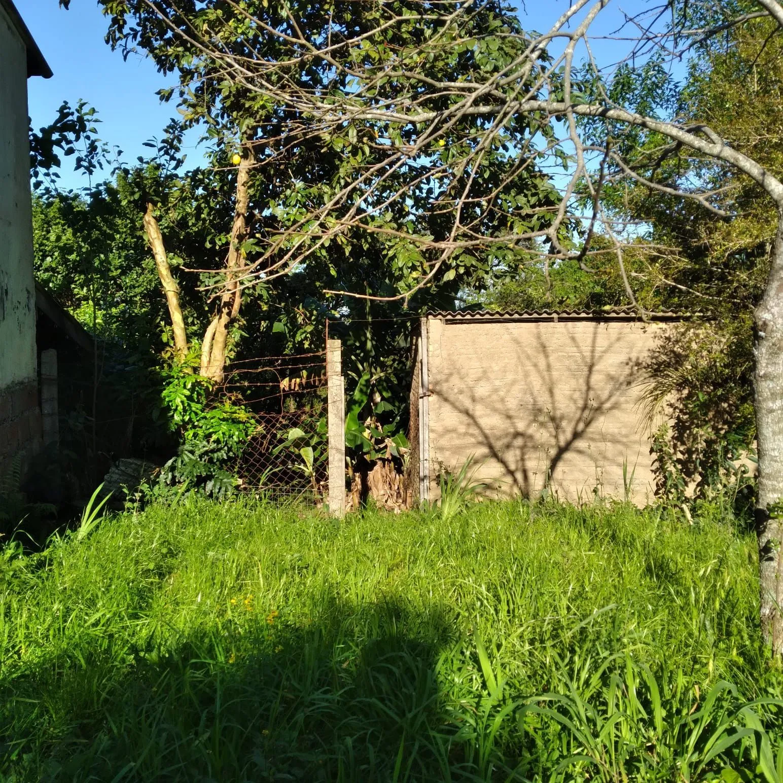 Imagem EXCELENTE TERRENO EM BELÉM VELHO