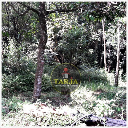 Imagem Chácara com 2 Quartos à Venda, 100 m² em Mata Fria - Mairiporã