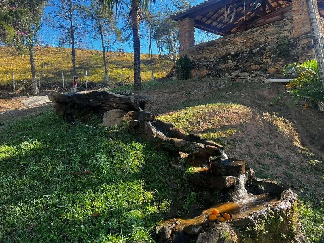 Imagem Excelente fazendinha à venda em Carmópolis de Minas, com área total de 54 HECTARES