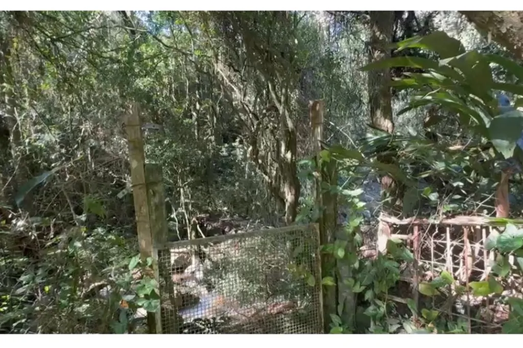 Imagem Terreno em Vila Nova