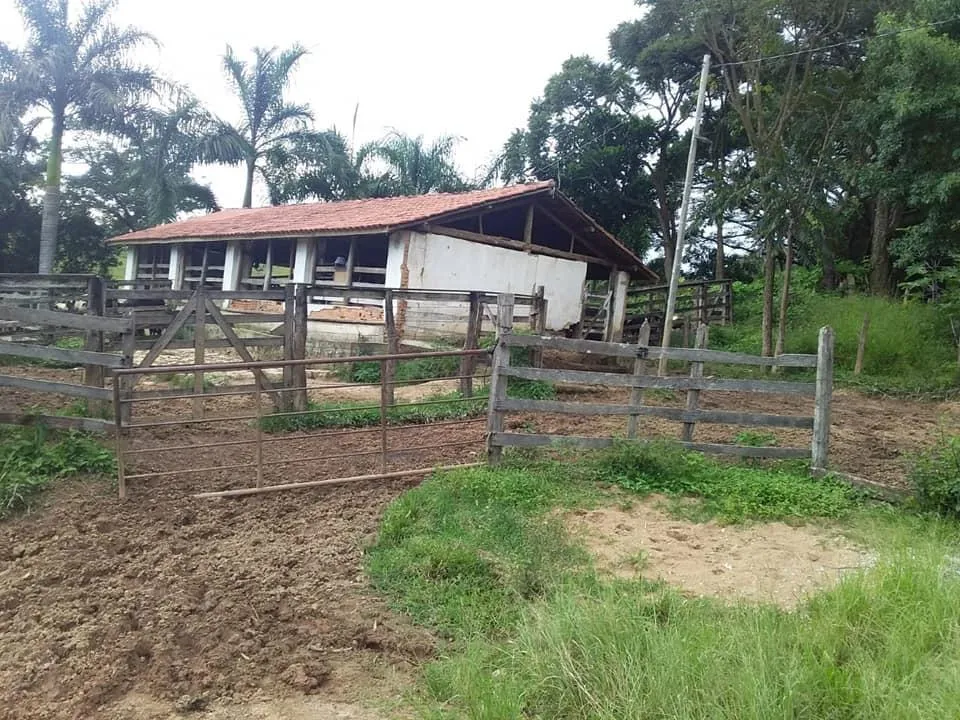 Imagem Terreno Espetacular à Venda em Carmópolis de Minas /MG 42 hectares de terra